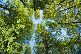 ����ȫ��ͼ