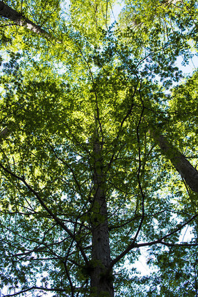 ��дˮɼ����