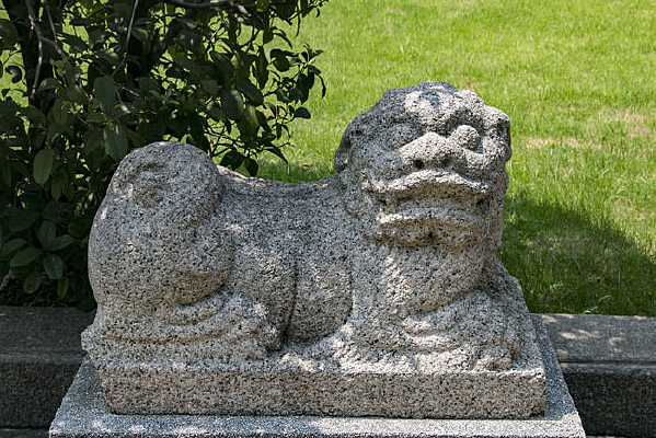 ��ʨ����