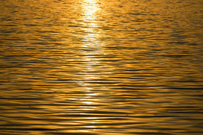 Ϧ���µĺ���ȫ��