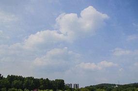 ��ɽ��һ�Ź�԰����ľɽ���������