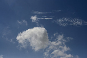 ����Ʈ�����