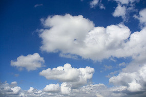 ����һ�������