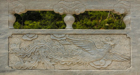 ����Ƹ���