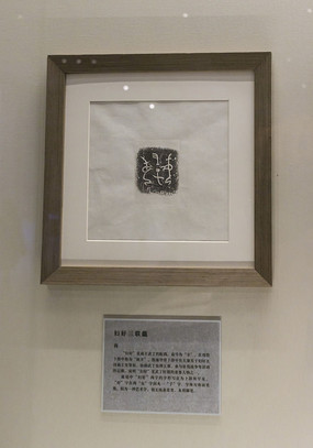 ������������Ƭ