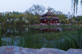 ���йŽ���