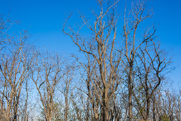 �����տ���