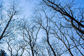 ����ȫ��