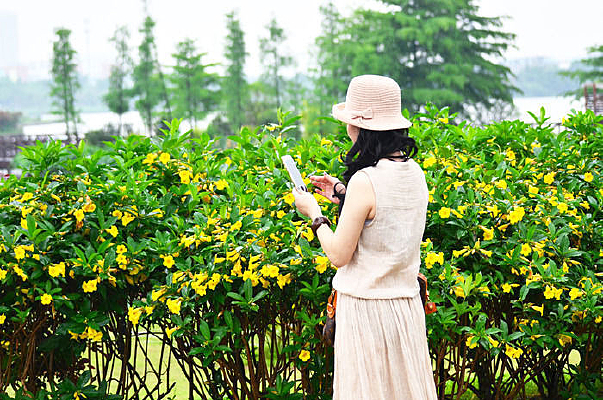 ���Ȼ�����ͼƬ