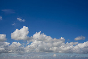 ���������Ʈ