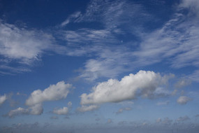 �����������ư�