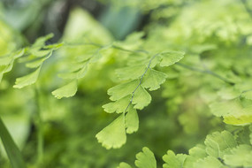 ާ��ֲ����д