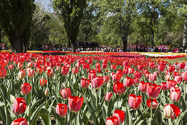 �������������