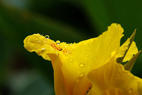 ���˽����ϵ�ˮ��