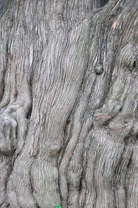 ǧ���ɰ�����