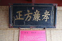 ������ľ��