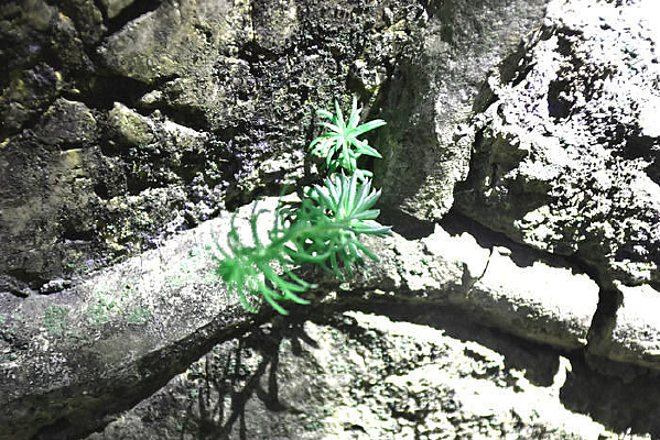 �������