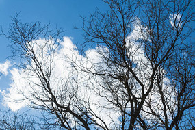 ��д�տ���