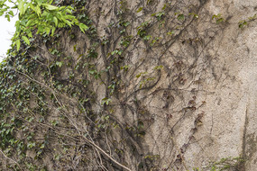 �ұ��ϵ���ɽ��