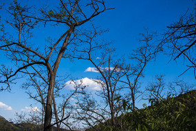 Զ������