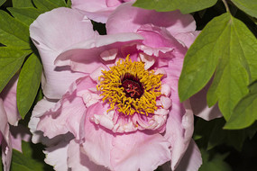 Զ��ĵ����