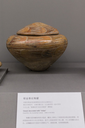 ���������չ�