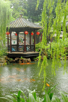 ����԰��