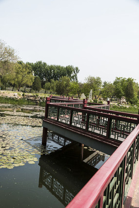 ջ������