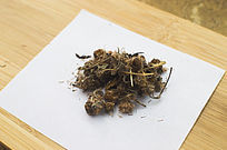 ��ҩ������