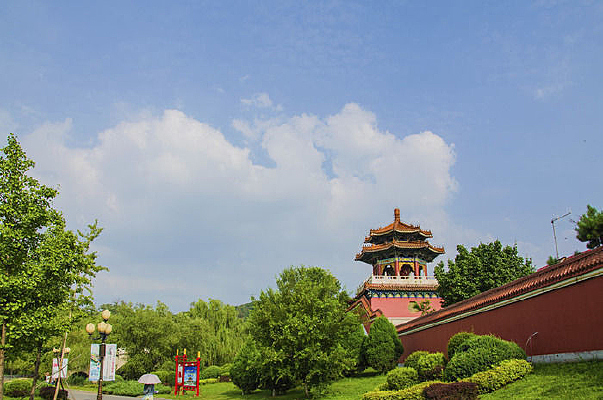 ��ɽ����¹�¥���������