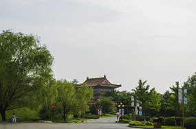 ��ɽ����½�������ľ