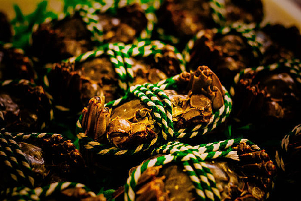 �˳�����з