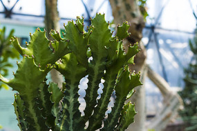 ������������