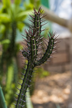 ��������������д��