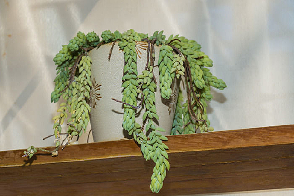 ��侰�����Զ��