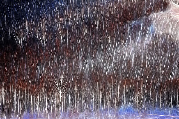 ���Ի��������ֶ�ɫ��