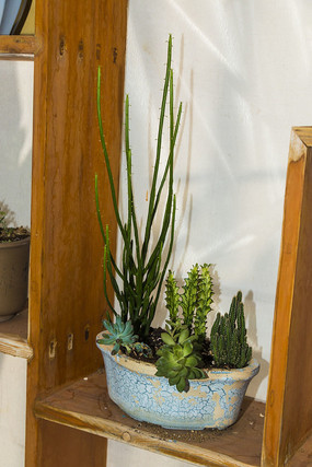 ����ֲ����������Զ��