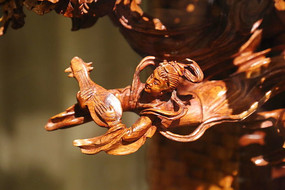 �ƻ���ľ����������Ů