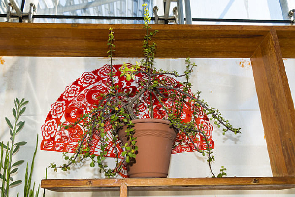 ����ֲ������ȫ��