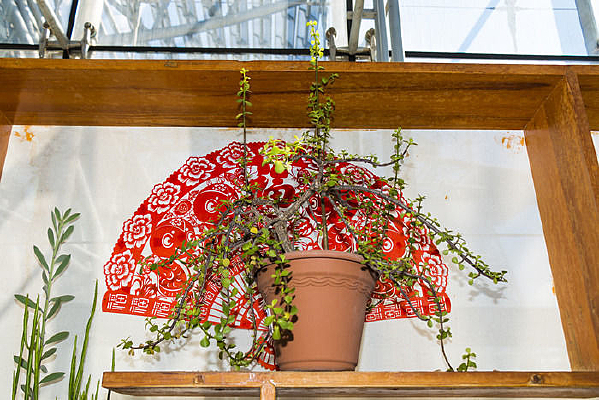 ����ֲ������ȫ����