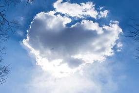 ��ɫ�����