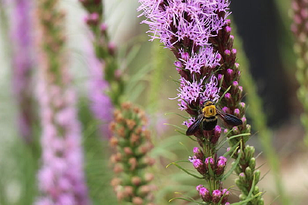 ��ʳ���۷�