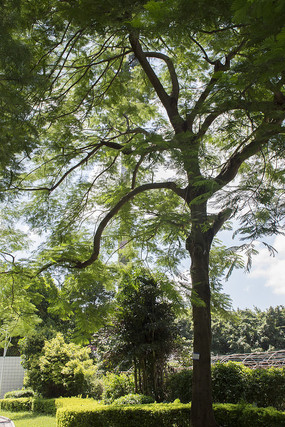 ħ��������εķ��ľ