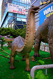 ������̬