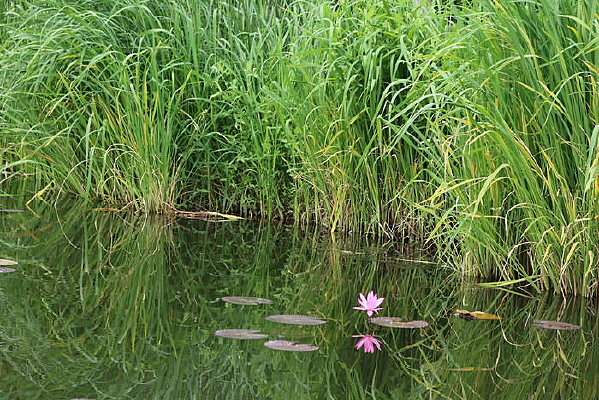 �Ѳ���һ���˯����Ӱ