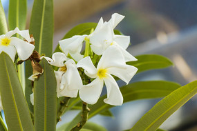 ��д������