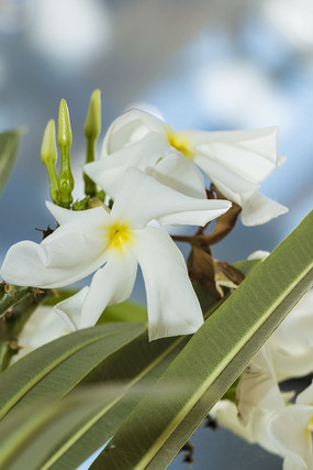 ��д�񼦵���