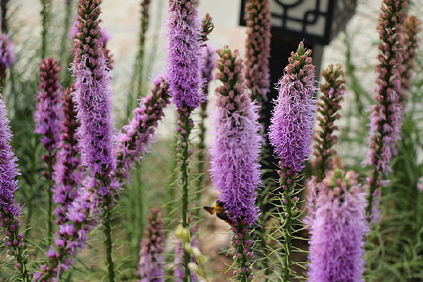 Ψ���λõ��ϻ�