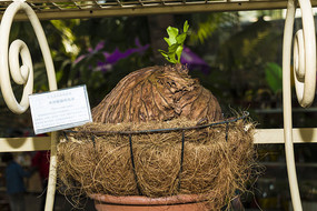 ���޺���¹��ާ