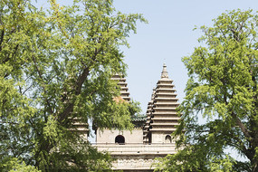 Զ������±���